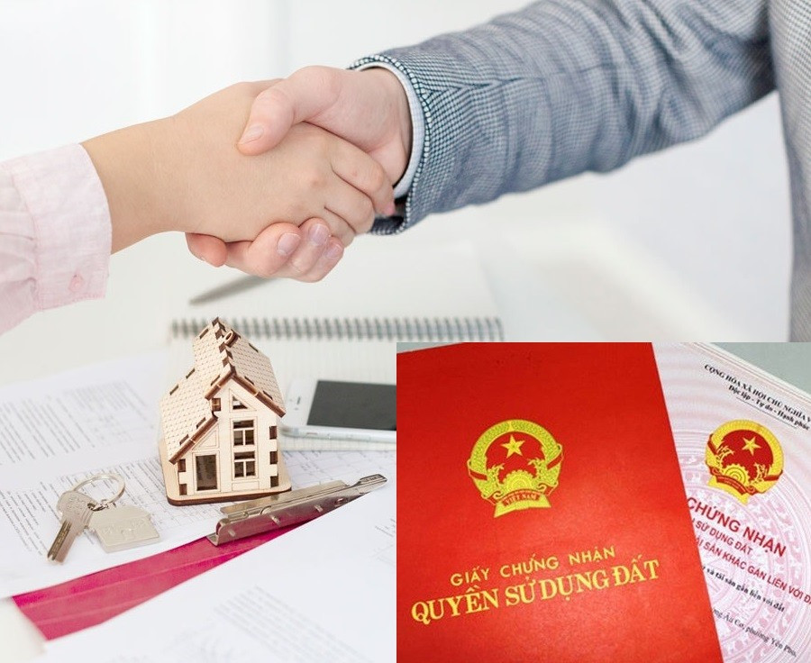 Cầm Sổ Hồng tại TPHCM: Giải Pháp Nhanh Chóng Cho Nhu Cầu Tài Chính